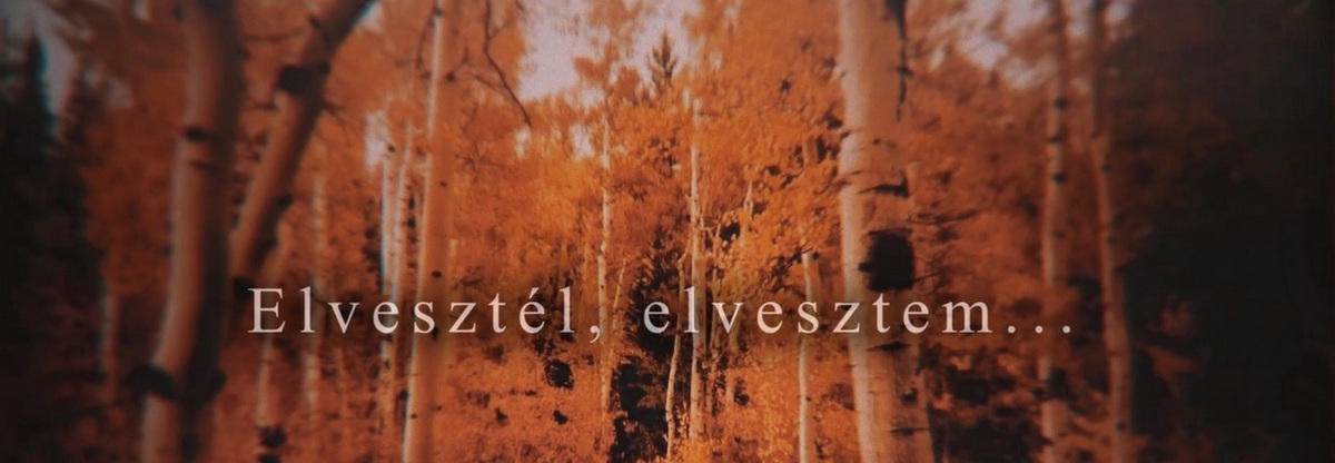 elvesztel-elvesztem-hires-szerelmesek-levelei