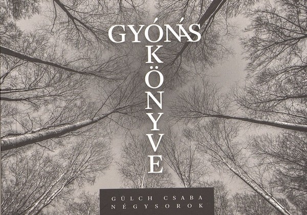 gulch-csaba-gyonas-konyve