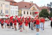 Könyvtári flashmob-sorozat 