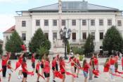 Könyvtári flashmob-sorozat 