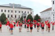 Könyvtári flashmob-sorozat 