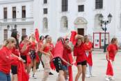 Könyvtári flashmob-sorozat 