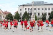 Könyvtári flashmob-sorozat 