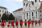 Könyvtári flashmob-sorozat 