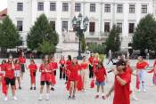 Könyvtári flashmob-sorozat 