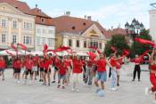 Könyvtári flashmob-sorozat 
