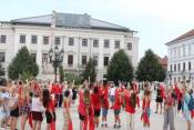 Könyvtári flashmob-sorozat 