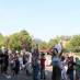 Könyvtári flashmob-sorozat