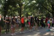 Könyvtári flashmob-sorozat